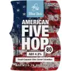 Blue Bee Brewery American Five Hop Version 80