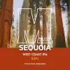 Mason Brewing Co Sequoia