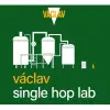 Pivo Václav Single Hop Lab Ležák #1 Saaz Brilliant