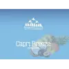 Arvon Brewing Co. Capri Breeze