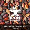 Iron Brewery Big D