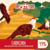 Brew York Caracara