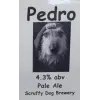 Scruffy Dog Pedro