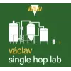 Pivo Václav Single Hop Lab Ležák #5 Polaris