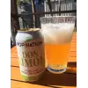 Hop Nation Brewing Co Don Limón Salted Lime Mexican Lager