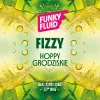 Funky Fluid Fizzy