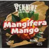 Pennine Brewing Co. Mangifera Mango