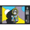 Blaze Brewing Company Blinded by the Colors