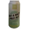 Snake Lake Brewing Company Not A Hazy Pale Ale