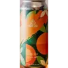 Coast Mountain Brewing Juice Box - Sour Wit