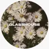 Glasshouse Beer Co Aster