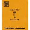 Temperance Brewing Co. The Gallow Is God