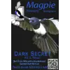 Magpie Brewery Dark Secret
