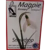 Magpie Brewery Snowdrop