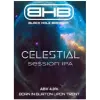 Black Hole Brewery Celestial