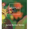 Ārpus Brewing Co. Apricot Berliner Weisse