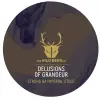 Wild Beer Co Delusions of Grandeur