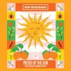 Hop Hooligans Pieces of the Sun