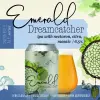 Humble Forager Brewery Emerald Dreamcatcher