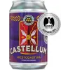 Brouwerij De 12 Stuyvers Castellum Westcoast IPA Citra X El Dorado