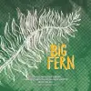 Hop Butcher For the World Big Fern