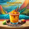 Transcend Beer Crafters Mangonada