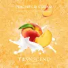 Transcend Beer Crafters Peaches & Cream