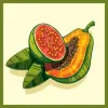 Nova Runda Fruit Expo: Guava & Papaya Sour