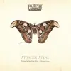 Parish Brewing Company Attacus Atlas