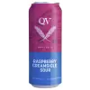 Quidi Vidi Brewing Company Raspberry Creamsicle Sour