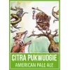Down the Road Brewery Citra Puckwudgie