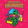Lord Hobo Brewing Company Bodacious Vagabond