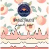 Polyrhythm Brewing Fuzz Face Peach Sour