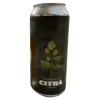 Tree House Brewing Company Evolution of Citra - Part One