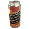 Snake Lake Brewing Company Sun Soaked Tart Apricot New England Pale Ale