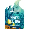 Bude Coastal Brewery Sea's The Day