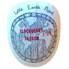 Little Earth Project Blackberry Saison
