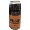 Spectrum Ale Works Big Juicy IPA