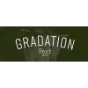 Austin Street Brewery Gradation - Peach