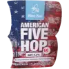 Blue Bee Brewery American Five Hop Version 65