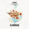 Slowburn Brewing Co-op Cerata