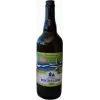 Brasserie Rocheloise IPA