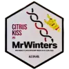 MrWinter's (prev Winter’s) Citrus Kiss