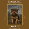 Transcend Beer Crafters Soft Lad