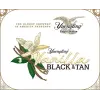 Yuengling Brewery Eagle Series #3 - Vanilla Black & Tan
