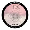 Track Brewing Co. Forms #01 - Harmonic