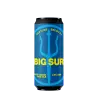 Neptune Brewery Big Sur (-2021)