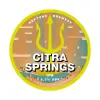 Neptune Brewery Citra Springs