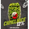 Akciový Pivovar Dalešice Chmelnice 12%