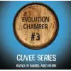Masthead Brewing Company Evolution Chamber #3